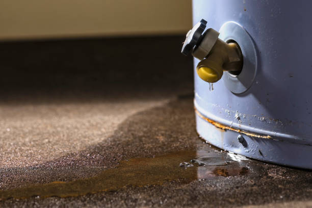 Best 24/7 water damage repair  in Southside Place, TX