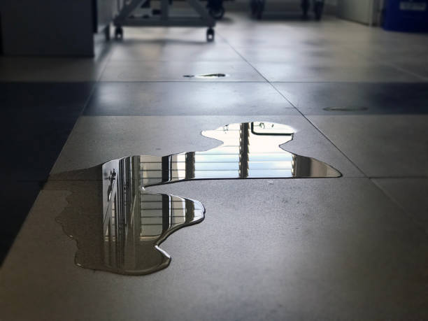 Best Water damage restoration near me  in Southside Place, TX