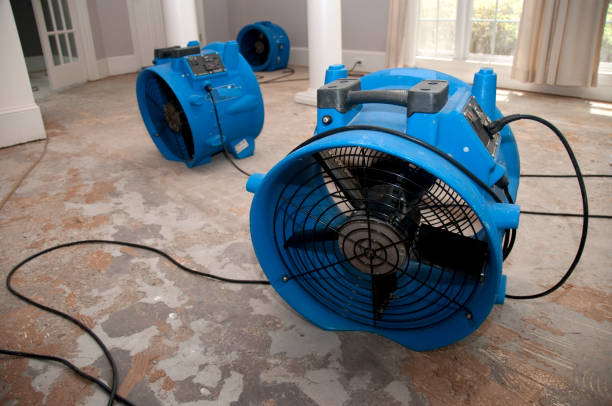 Best Sewage cleanup and water damage restoration  in Southside Place, TX