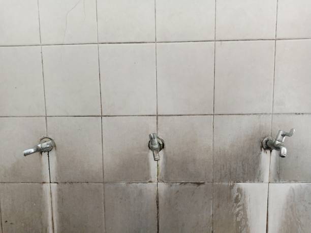 Best Flood damage cleanup  in Southside Place, TX