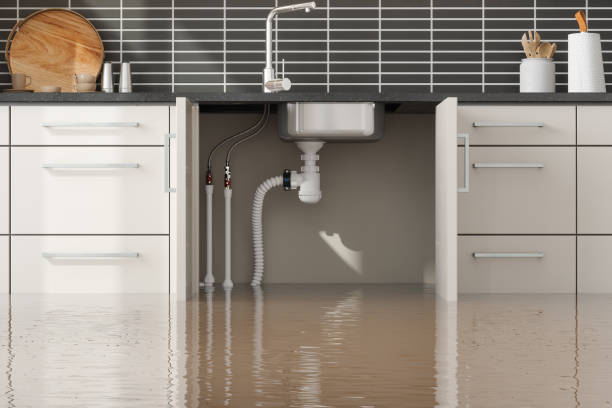 Best Water damage restoration process  in Southside Place, TX