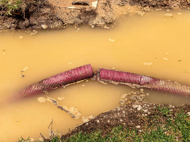Best Water damage cleanup near me  in Southside Place, TX