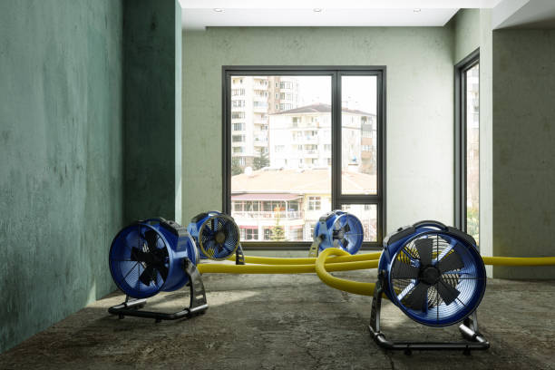 Sewage cleanup and water damage restoration in Southside Place, TX