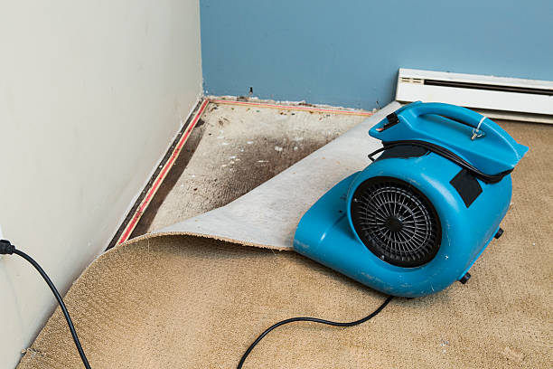 Southside Place, TX Water damage restoration Company